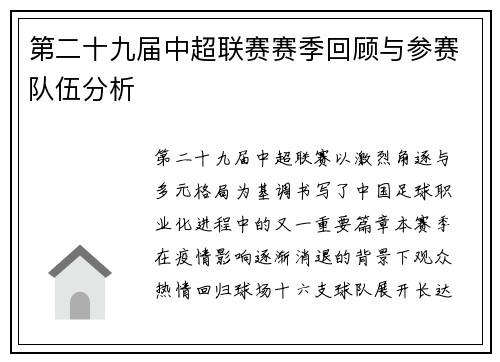 第二十九届中超联赛赛季回顾与参赛队伍分析