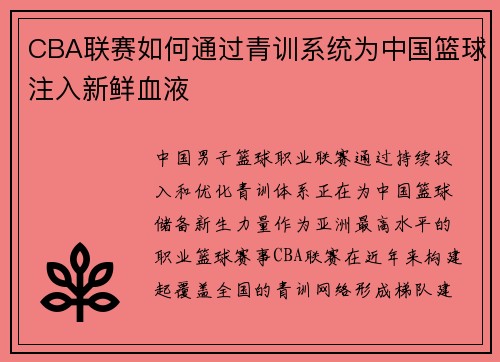 CBA联赛如何通过青训系统为中国篮球注入新鲜血液