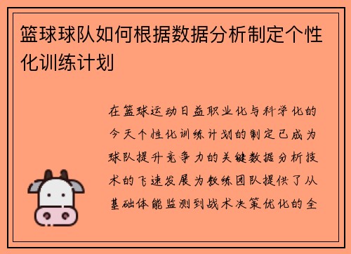 篮球球队如何根据数据分析制定个性化训练计划
